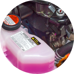 Labels for In-Mold Labeling