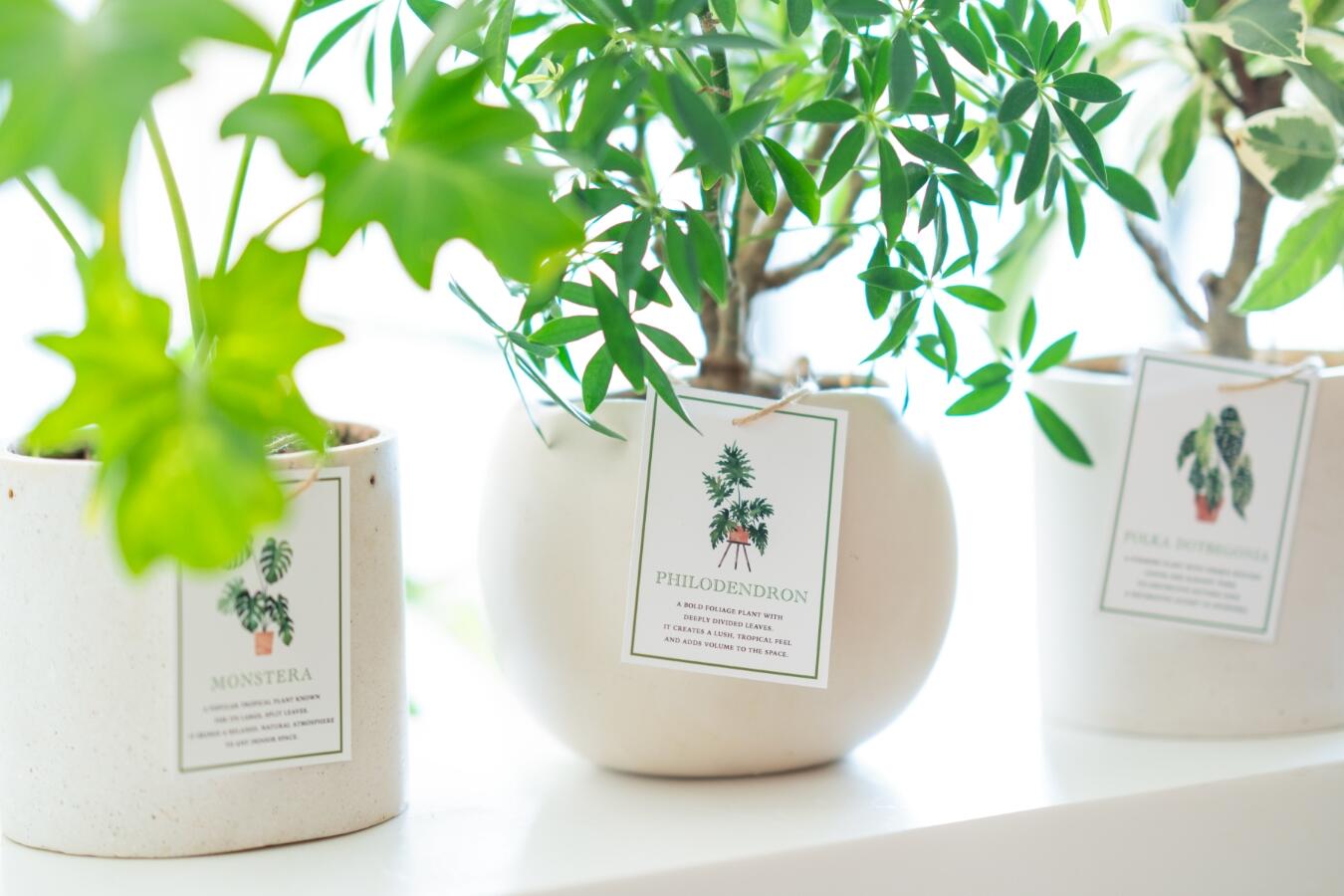 Highly resistant to water, oil, and chemicals, making them ideal for use in agriculture, horticulture, and plant nurseries where exposure to harsh conditions is common.